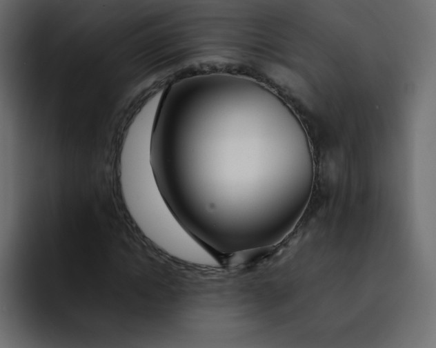 X0000092060822200710031059