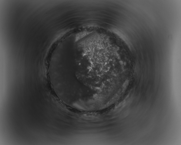 X0000092060823200710031059