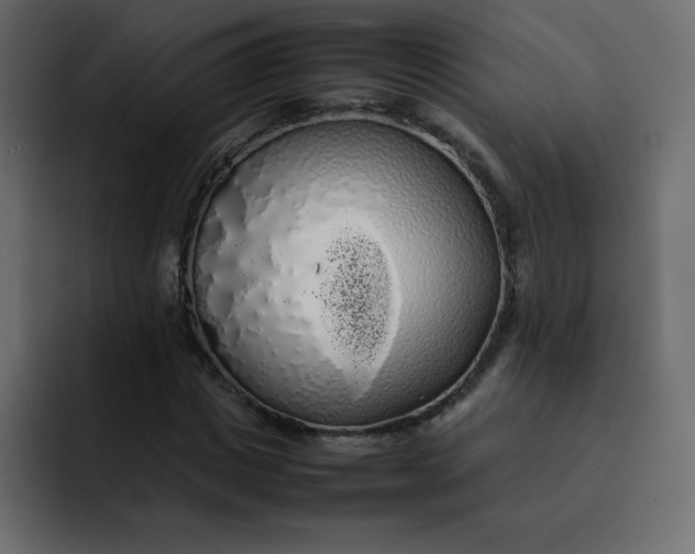 X0000092060825200710031059