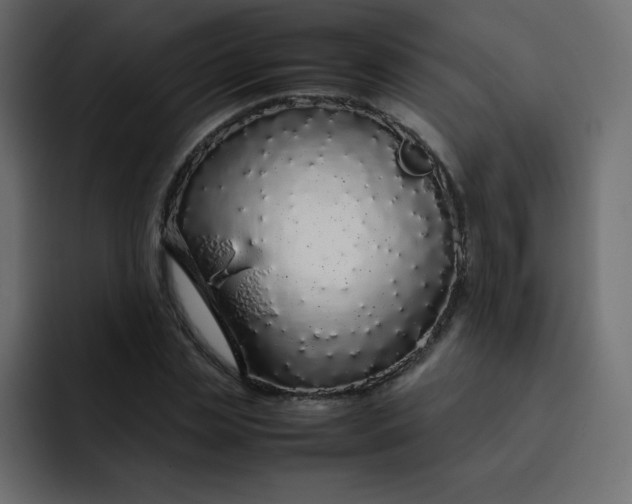 X0000092060829200710031059