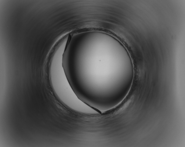 X0000092060830200710031059