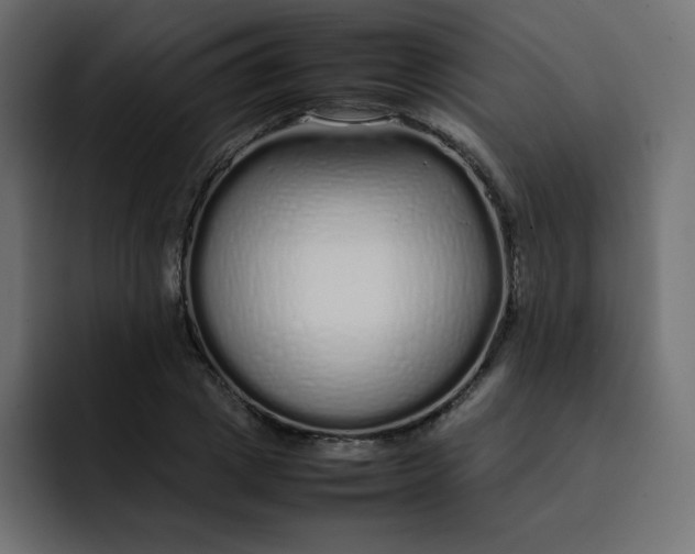 X0000092060833200710031059