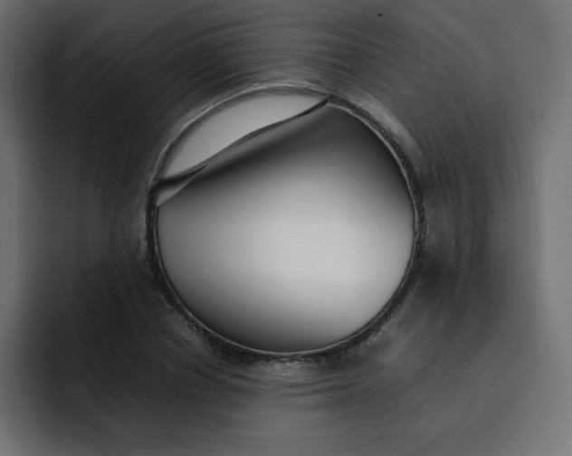 X0000092060834200710031059