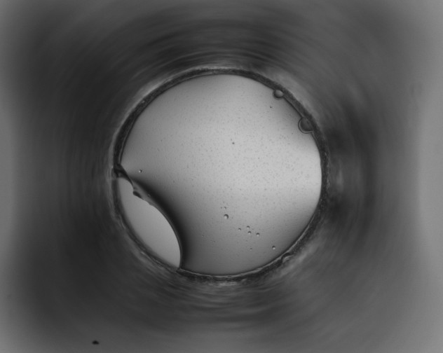 X0000092060837200710031059