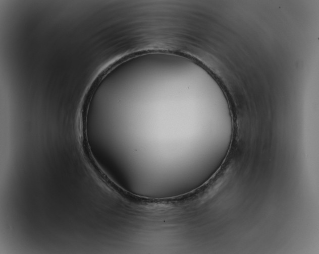 X0000092060838200710031059