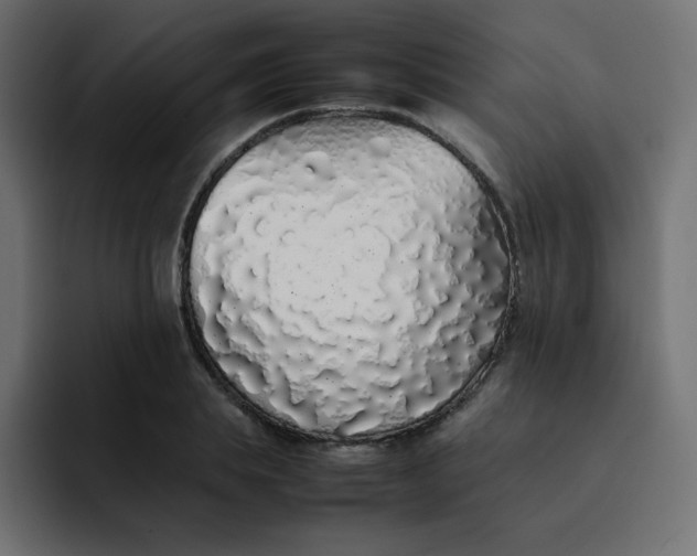 X0000092060839200710031059