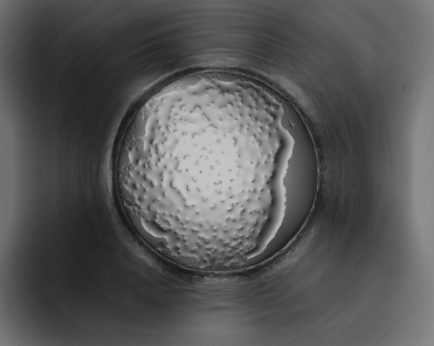 X0000092060840200710031059