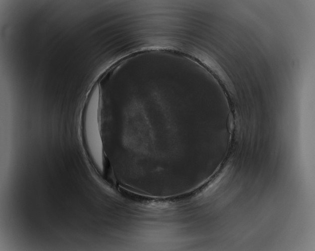 X0000092060842200710031059