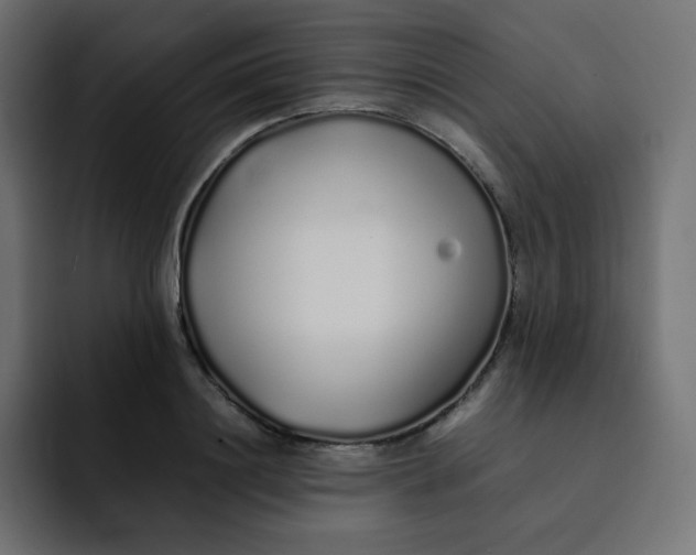 X0000092060844200710031059