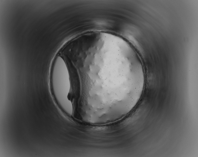 X0000092060845200710031059