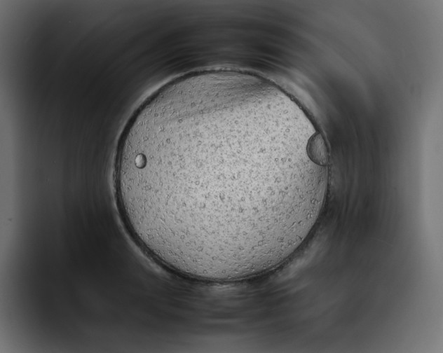 X0000092060847200710031059