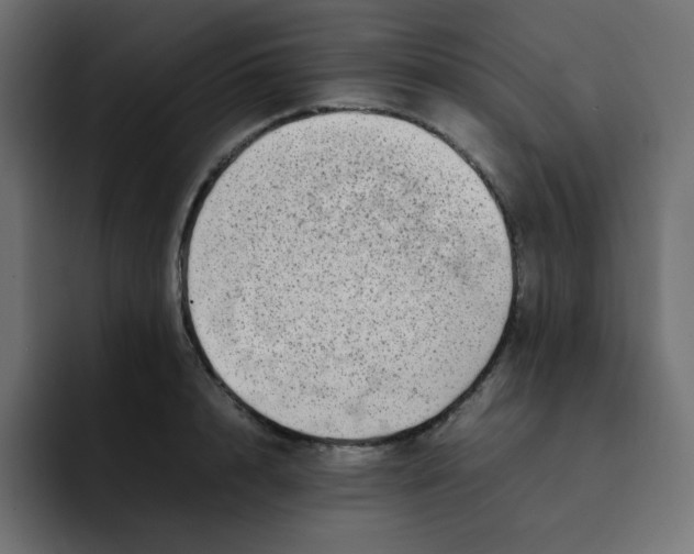 X0000092060848200710031059