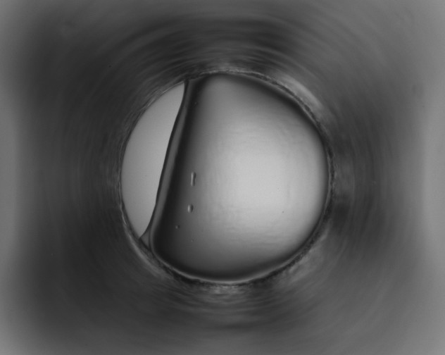 X0000092060849200710031059