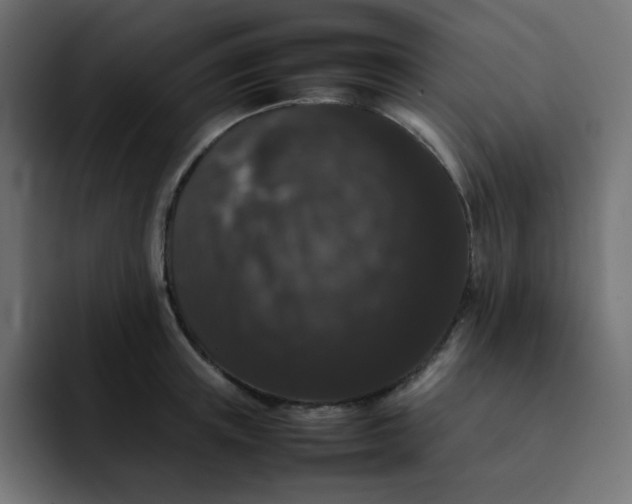 X0000092060851200710031059