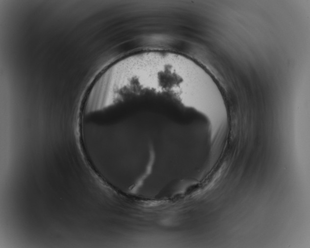 X0000092060853200710031059