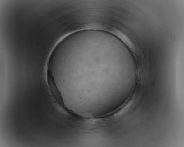 X0000092060854200710031059