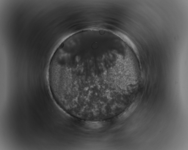 X0000092060855200710031059