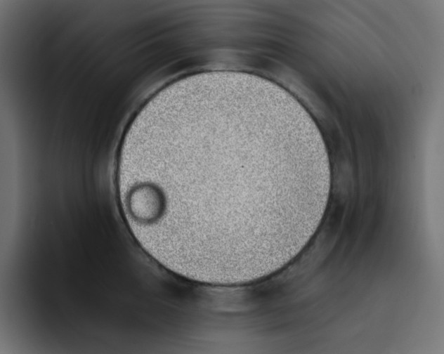 X0000092060856200710031059