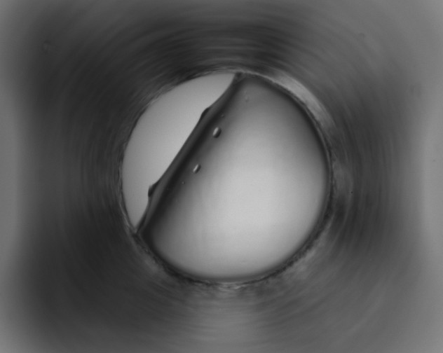 X0000092060857200710031059