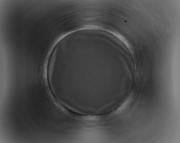 X0000092060862200710031059