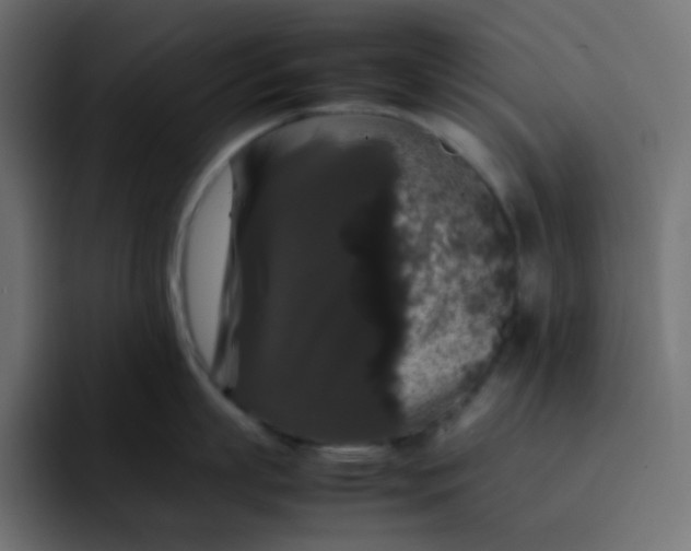 X0000092060863200710031059