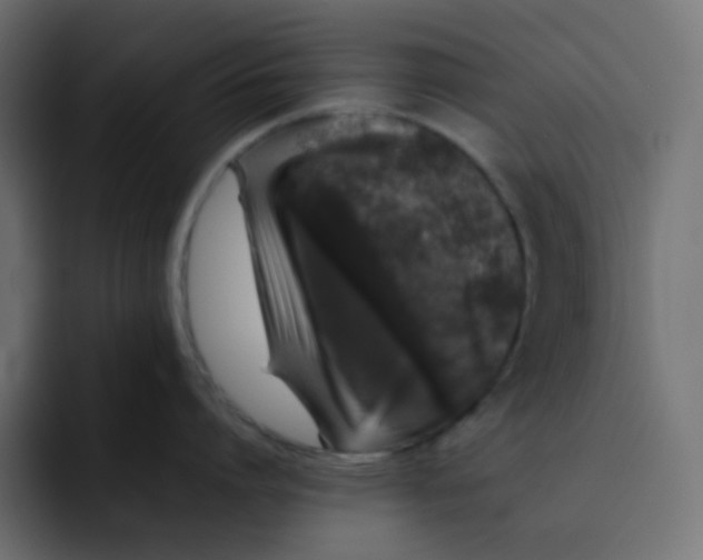 X0000092060864200710031059