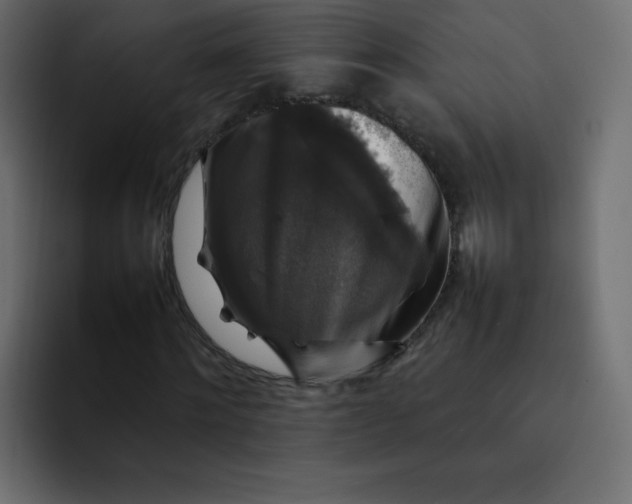 X0000092060868200710031059