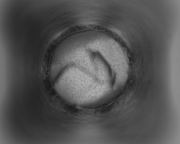 X0000092060871200710031059