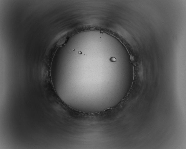 X0000092060872200710031059