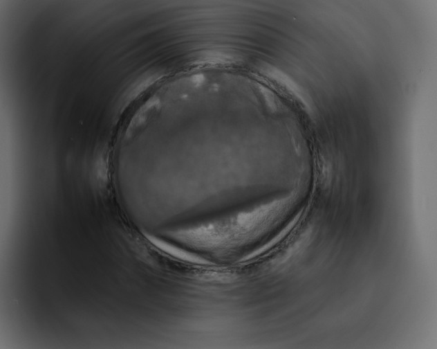 X0000092060874200710031059