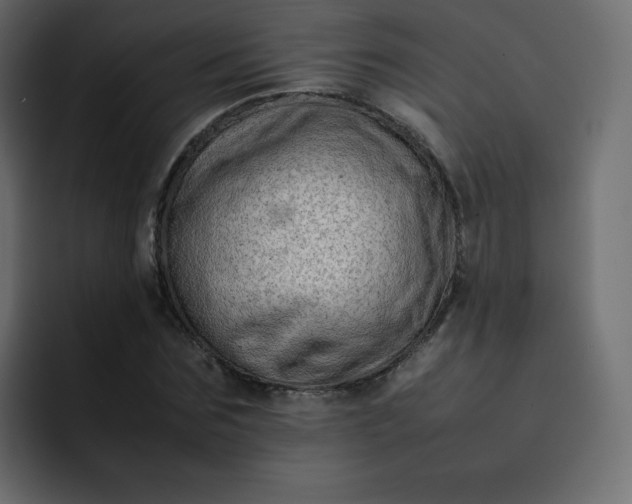 X0000092060875200710031059