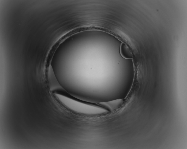 X0000092060876200710031059