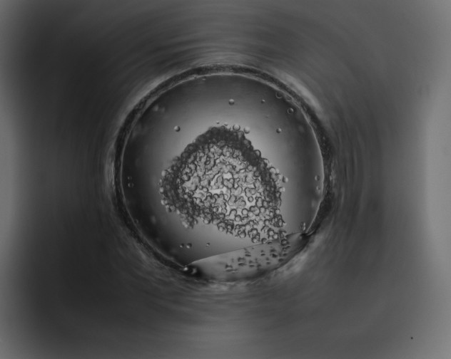 X0000092060877200710031059