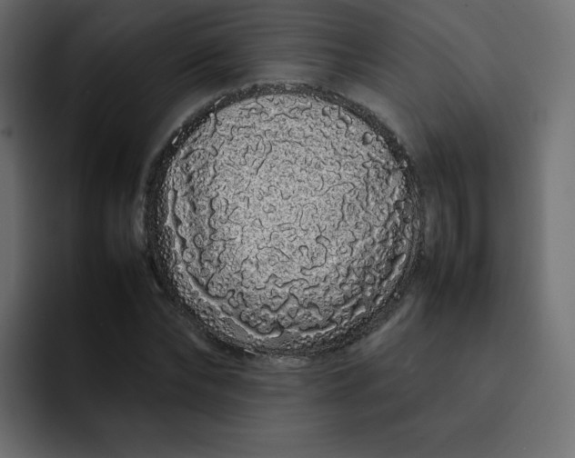 X0000092060878200710031059