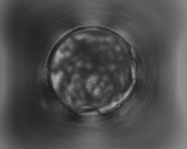 X0000092060879200710031058