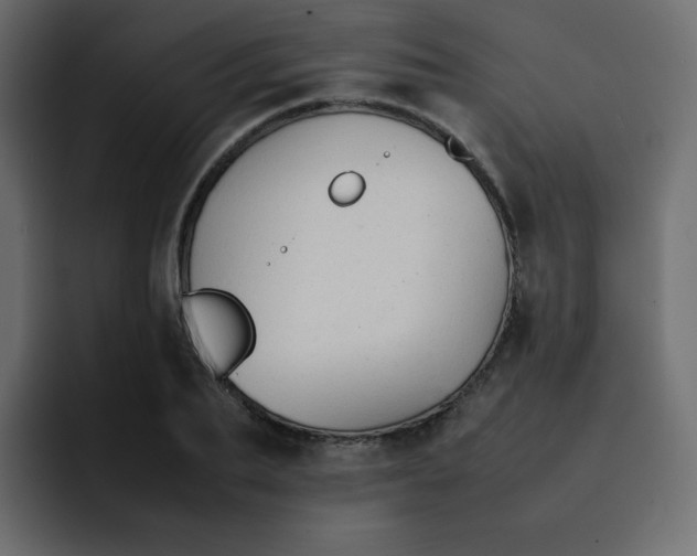 X0000092060887200710031058