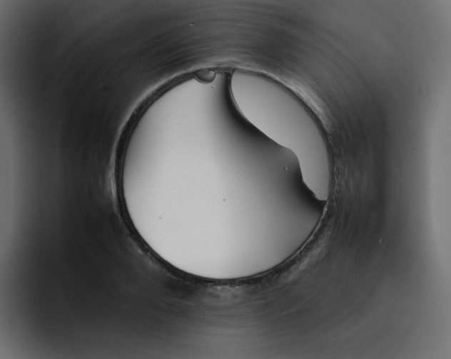 X0000092060888200710031058