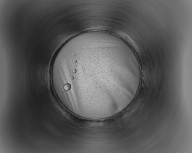 X0000092060890200710031058