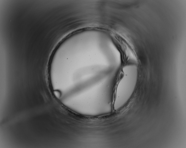 X0000092060895200710031058