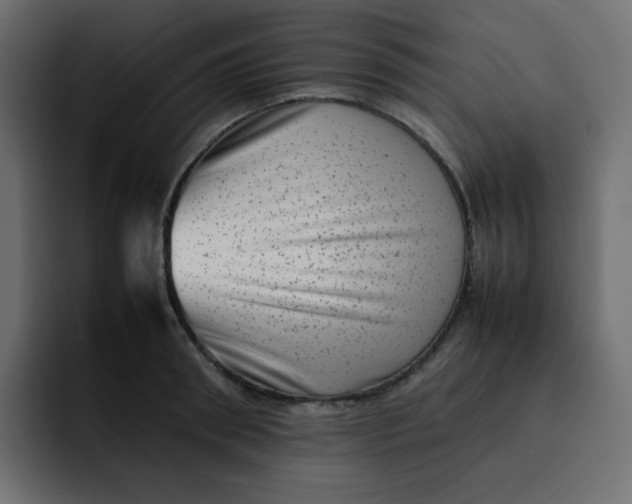 X0000092060898200710031058