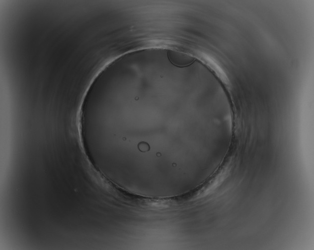 X0000092060899200710031058