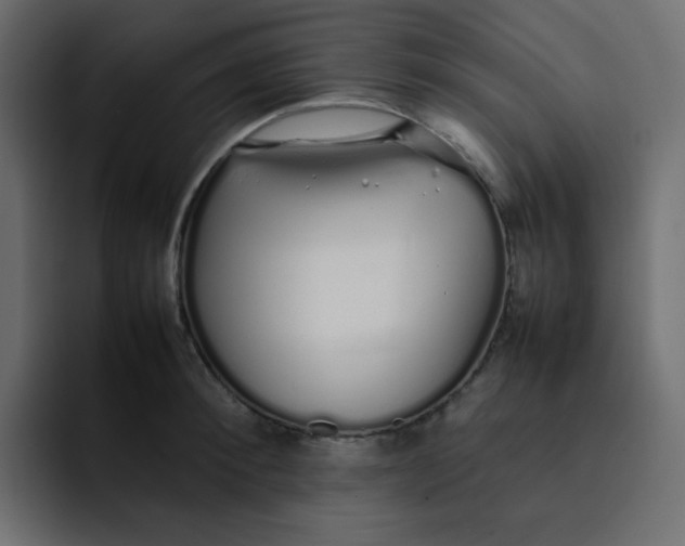 X0000092060900200710031058