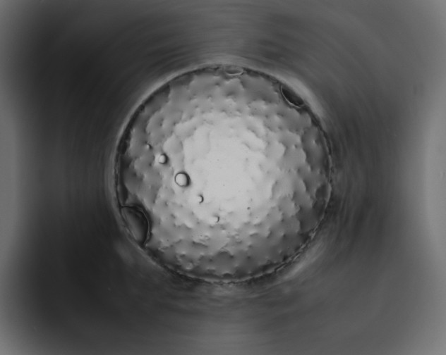 X0000092060903200710031058