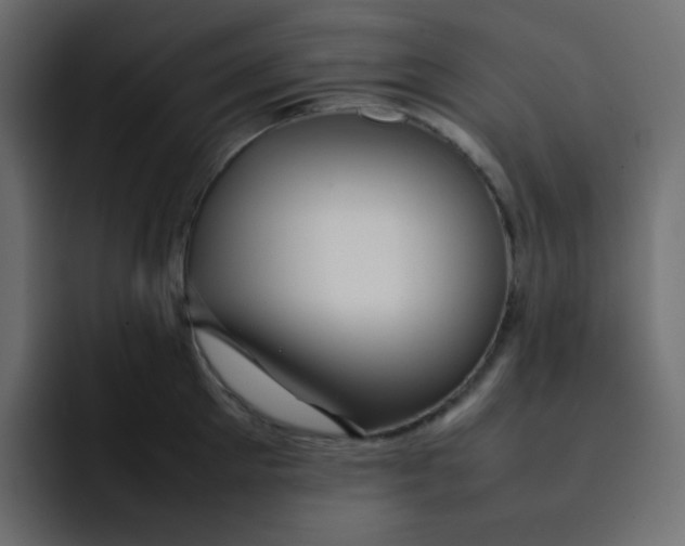 X0000092060905200710031058