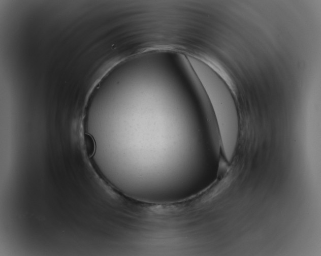 X0000092060906200710031058