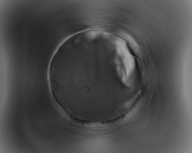 X0000092060907200710031058