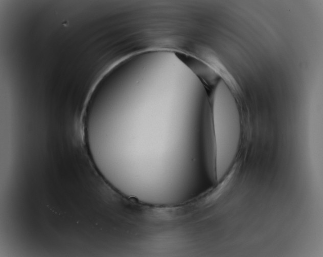 X0000092060908200710031058