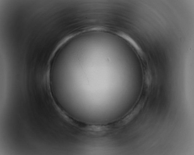 X0000092060910200710031058