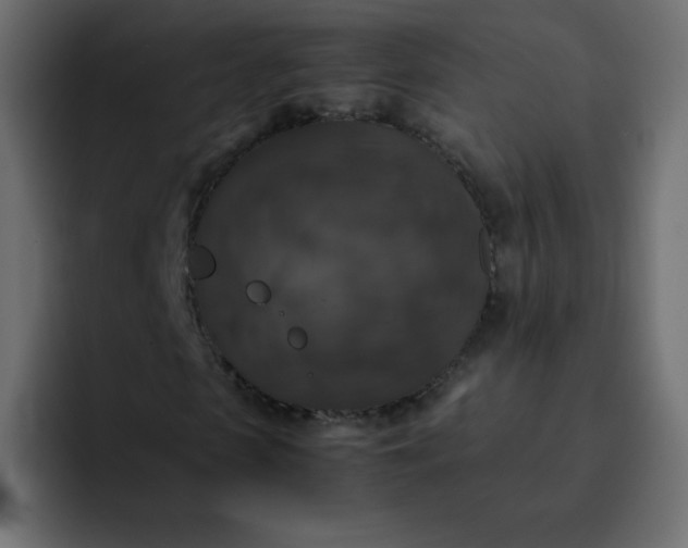 X0000092060913200710031058