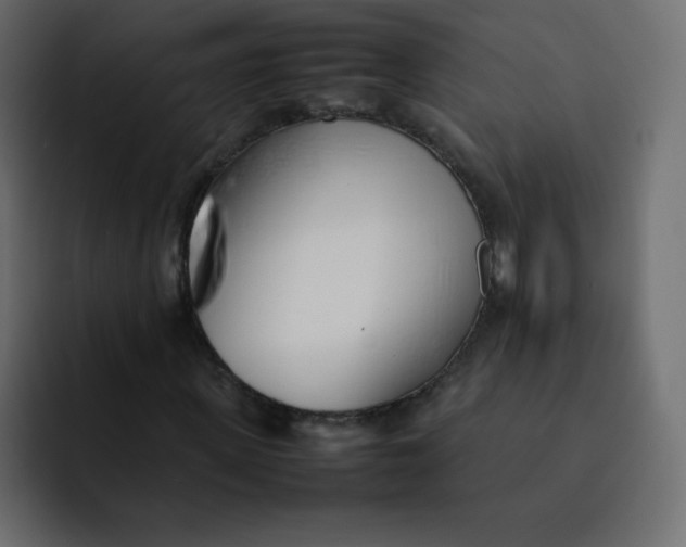 X0000092060915200710031058